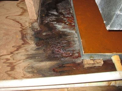 About water damage restoration service - basement flood restoration services experts in Alexandria